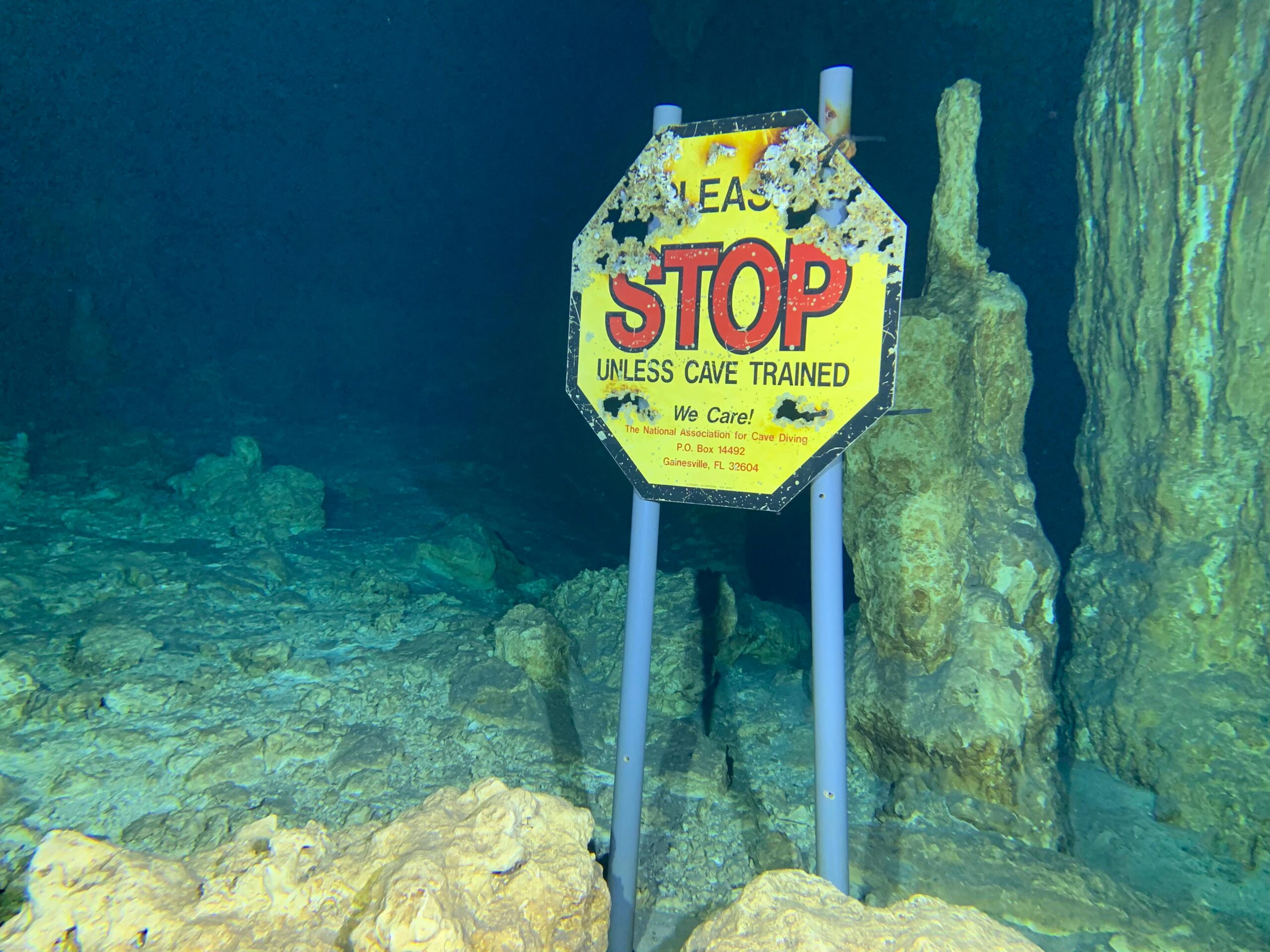 best diving spots South Florida