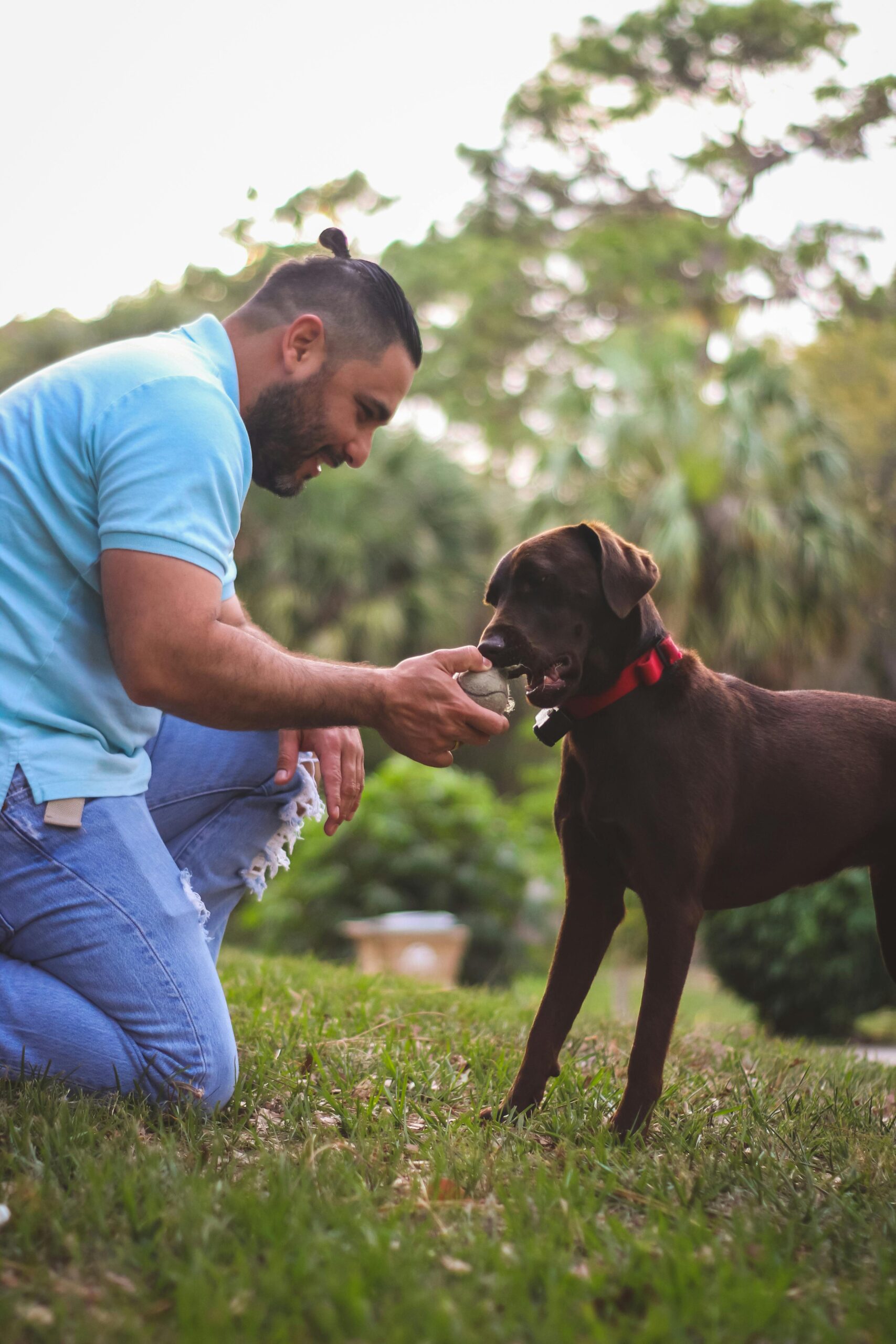 best pet stores South Florida
