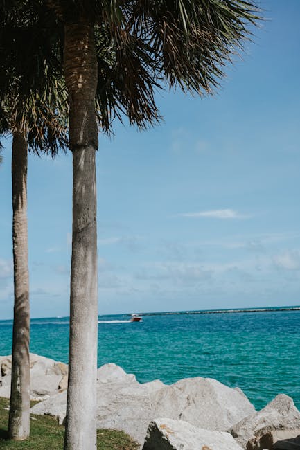 Ultimate Guide to the Best Hidden Beaches in South Floridas…