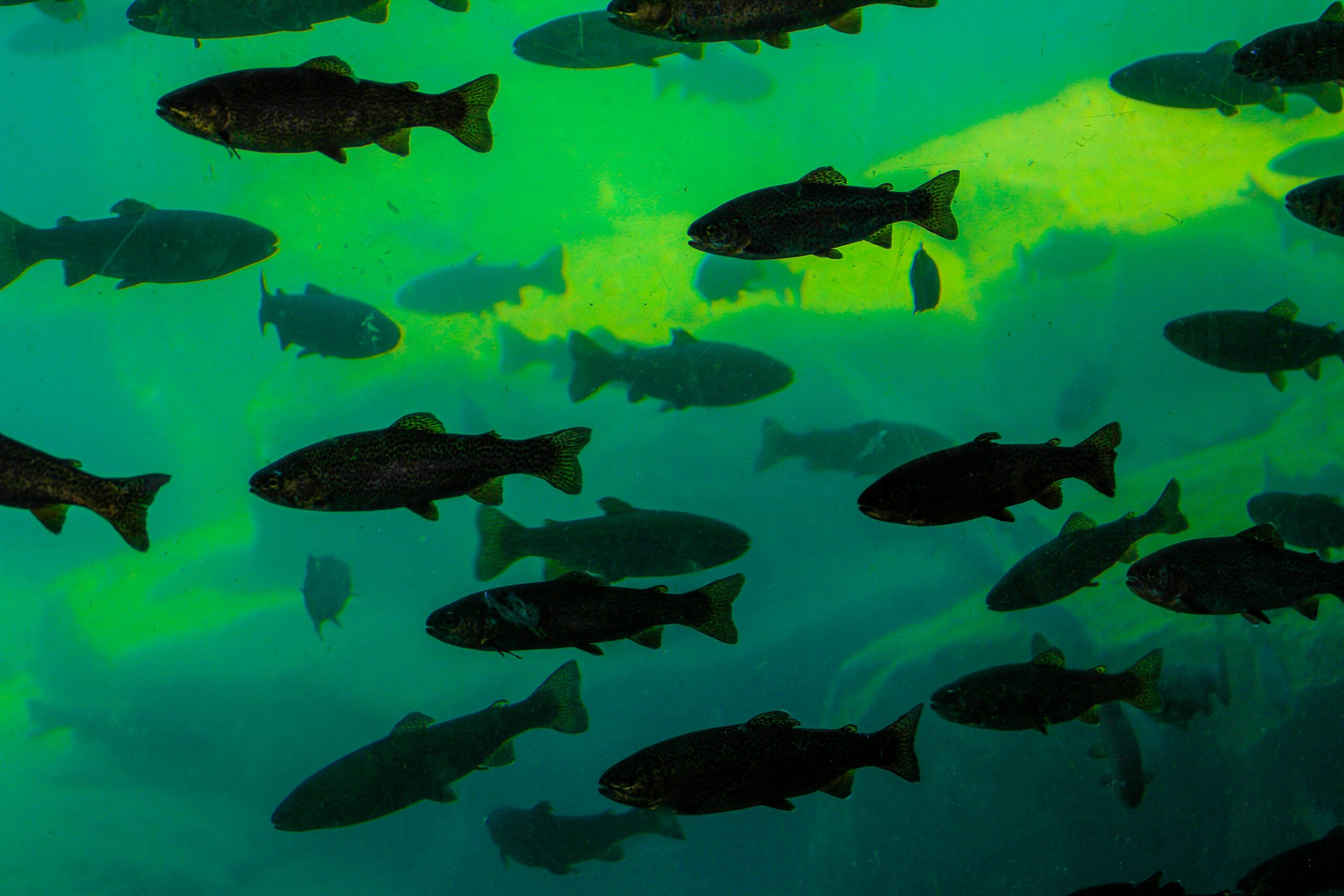 best zoos and aquariums South Florida best zoos and aquariums South Florida