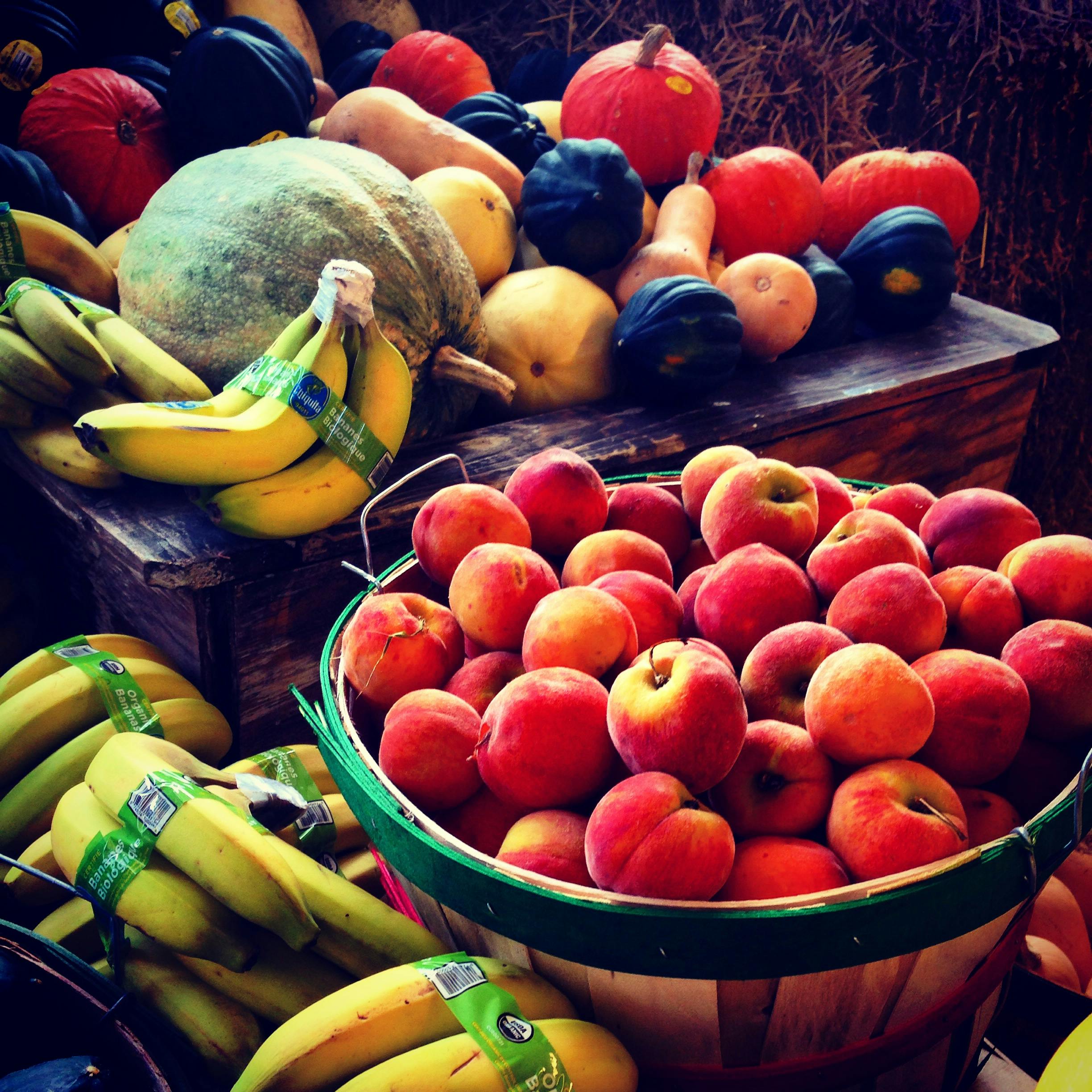 best farmers markets South Florida