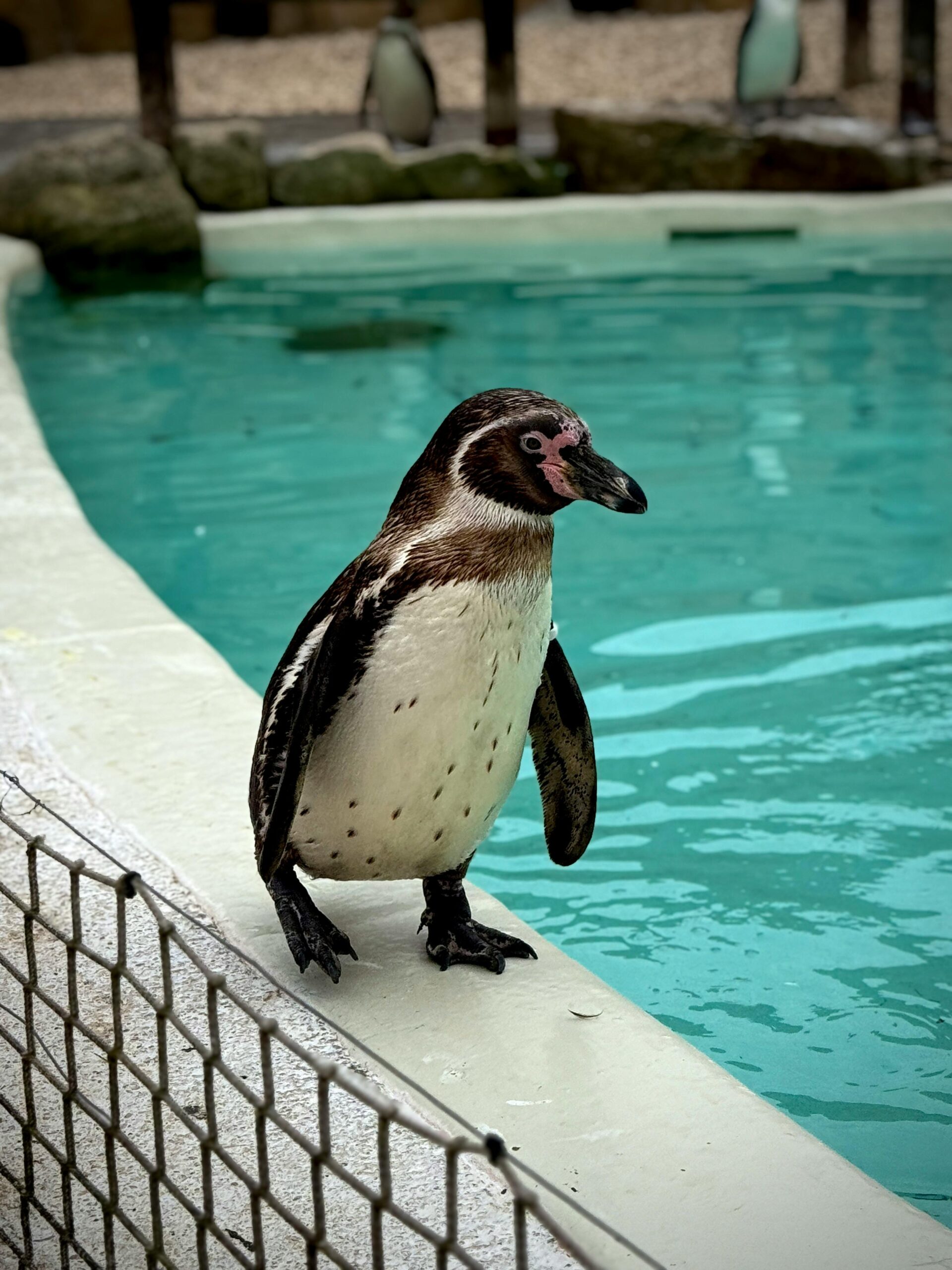 best zoos and aquariums South Florida best zoos and aquariums South Florida