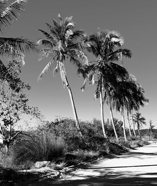 Best Hidden Day Trips from Fort Lauderdale: Ultimate Local Secrets