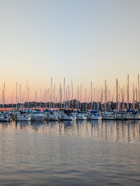 Best Hidden Diving Spots in Key Largo: Your Ultimate Local Guide