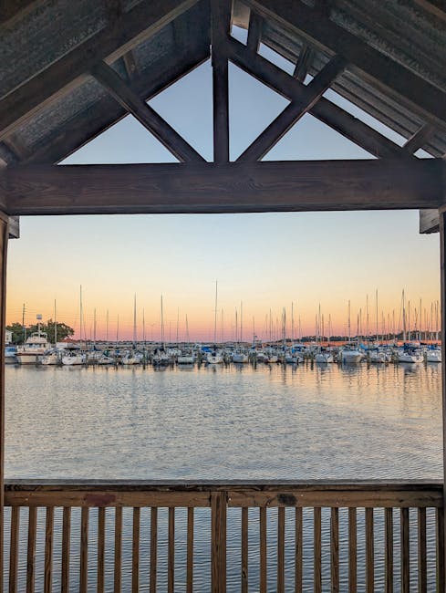 Best Hidden Kayak and Paddleboard Rentals in South Floridas…