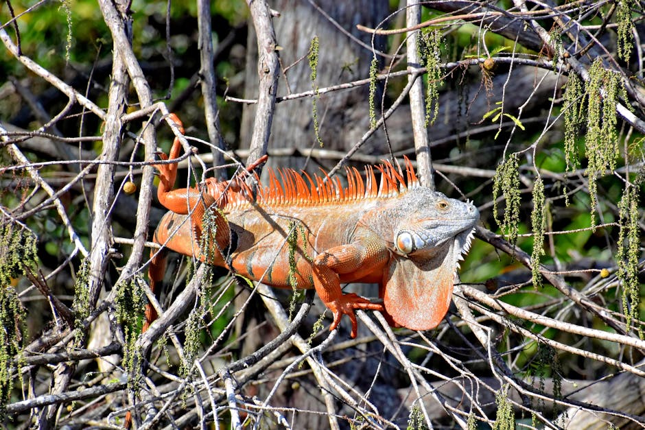 Ultimate Guide to Hidden Gems and Best Things to Do in Boca Raton