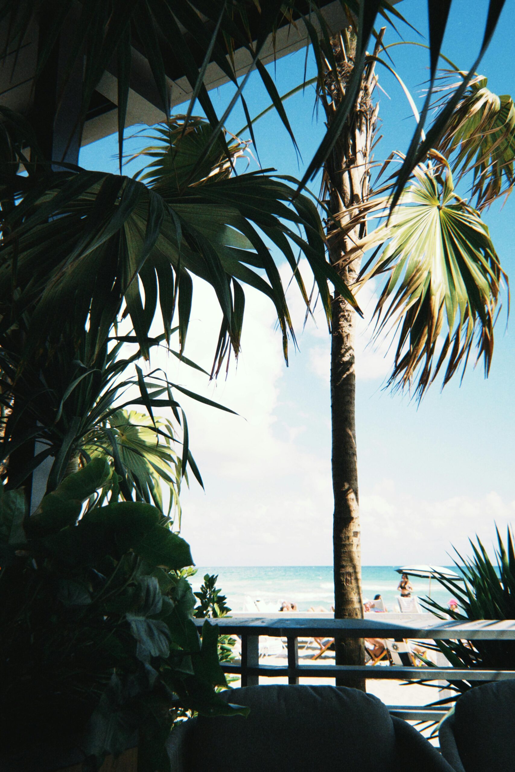 best things to do Boca Raton