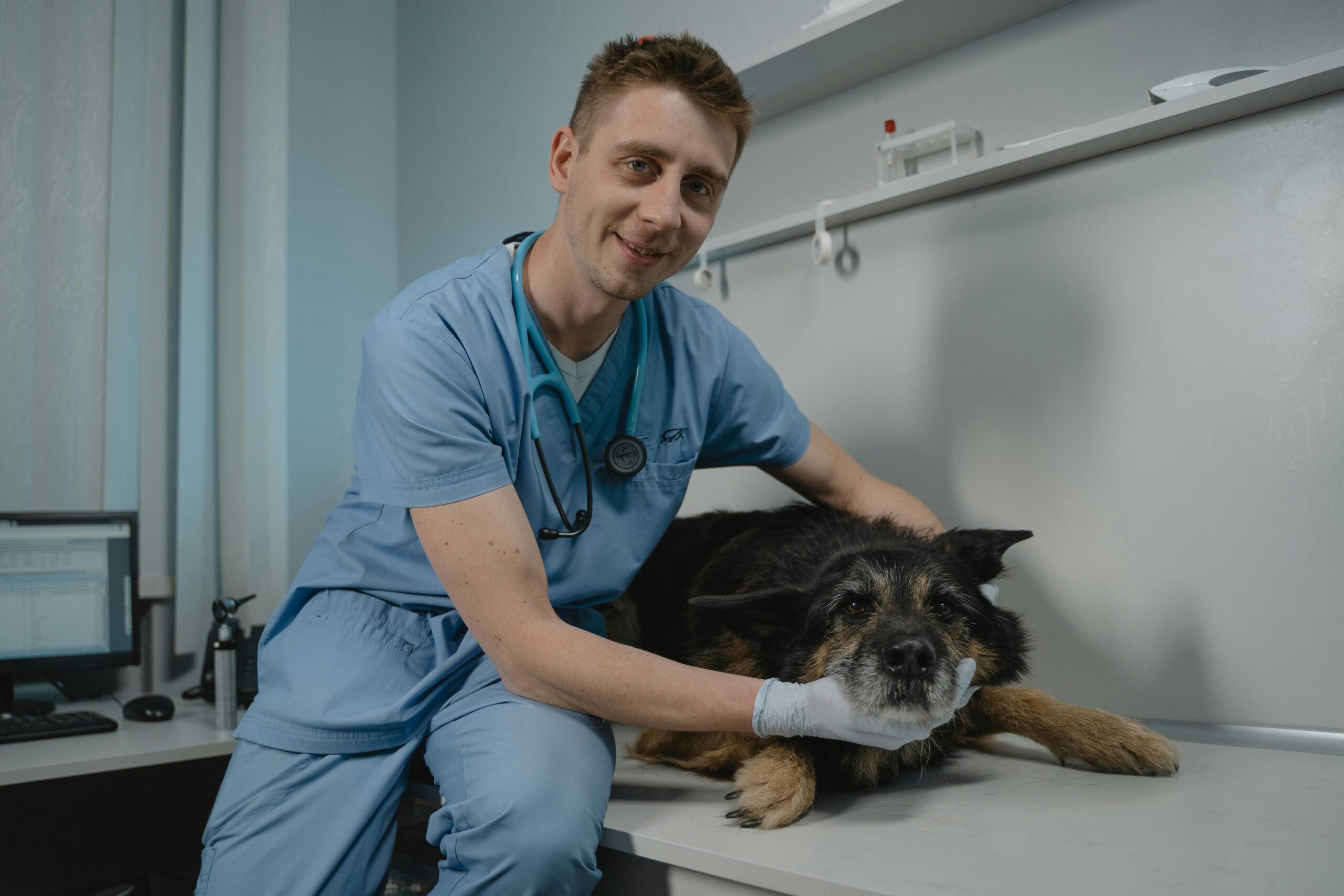 best veterinarians South Florida