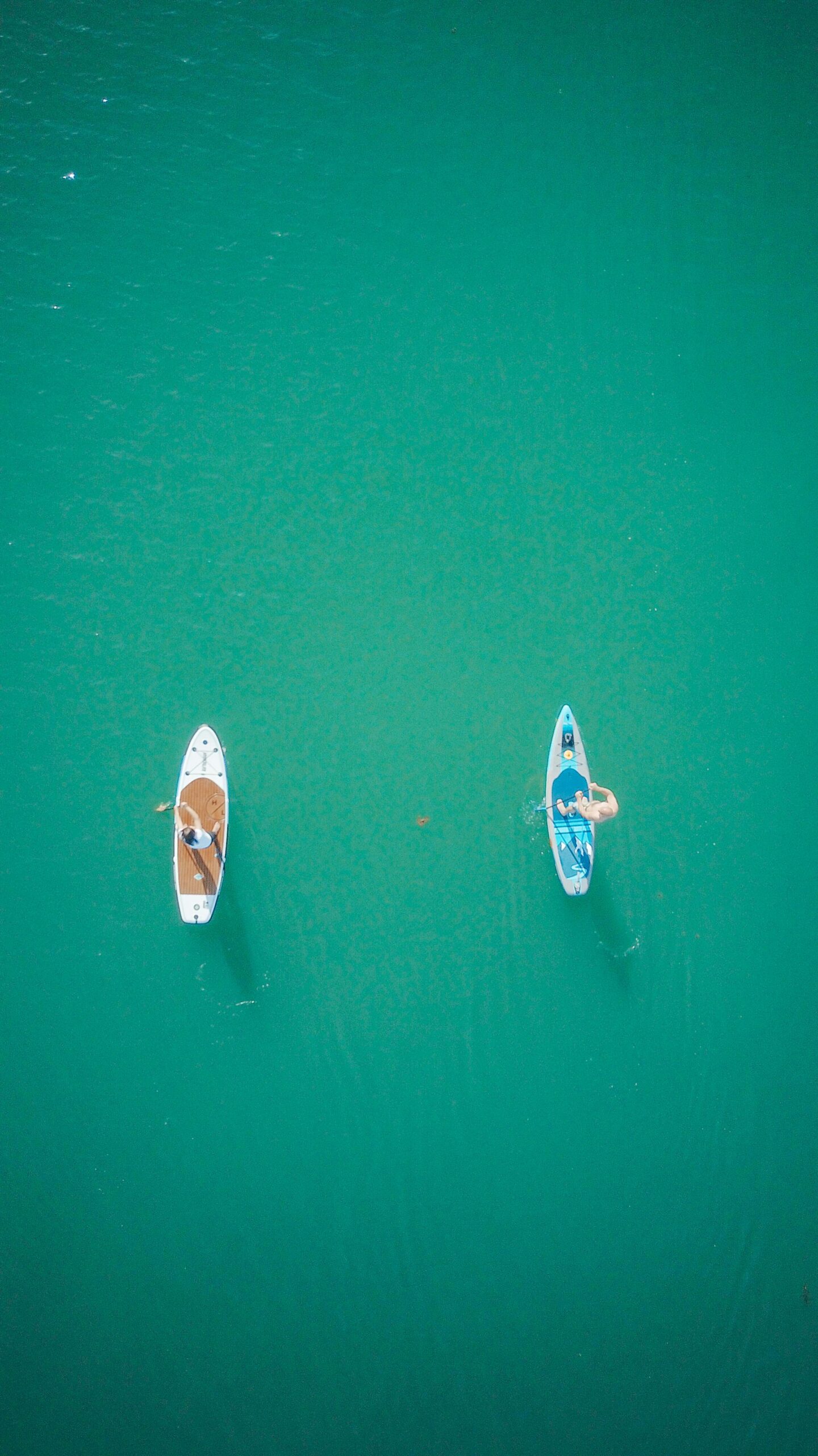 best kayak and paddleboard rentals South Florida